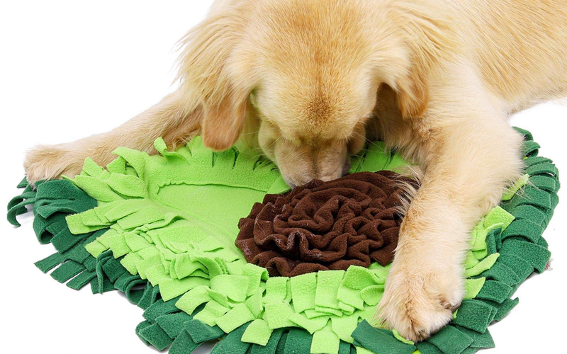 A golden retriever standing over the green avocado snuffle mat with its nose in the brown centre rosette.