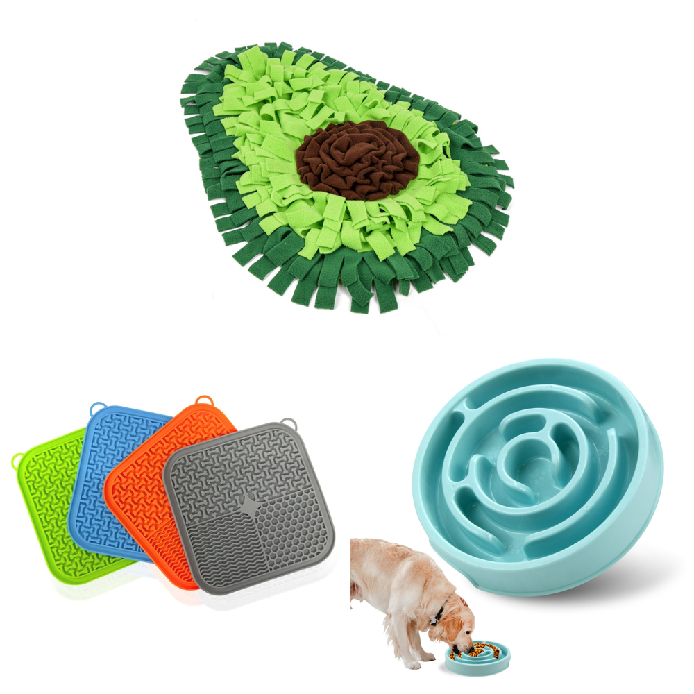 The three parts of the enrichment kit together: the green avocado snuffle mat, the silicone lick mat and the teal slow feeder bowl.