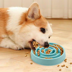 Ein Corgi frisst Trockenfutter aus dem türkisfarbenen Anti-Schling-Napf auf einem Holzboden.