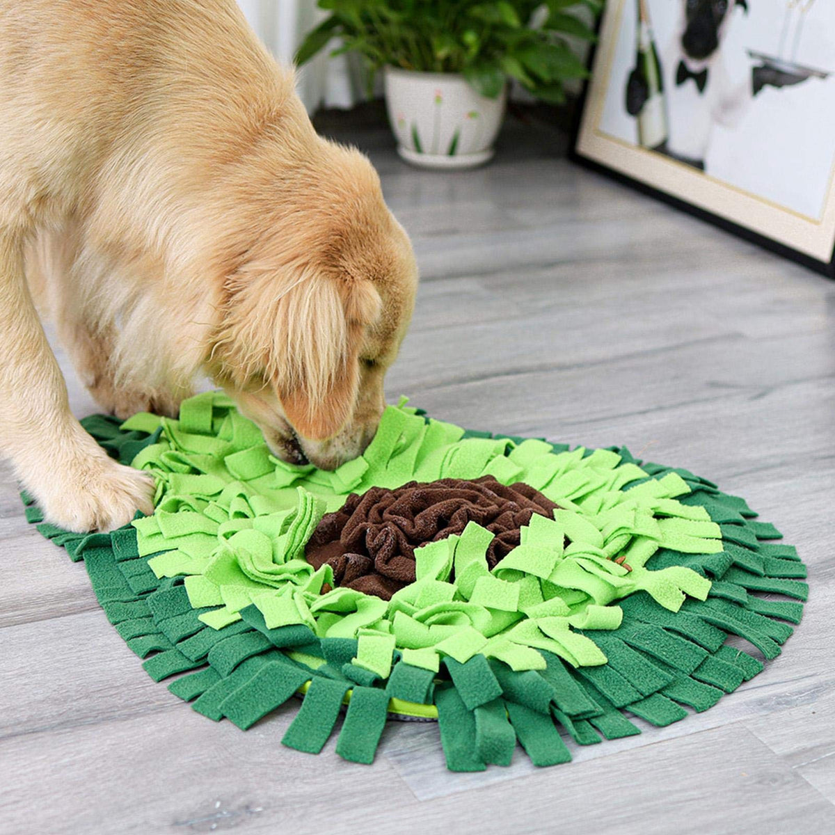 The green avocado snuffle mat in use on a wooden floor at home, a dog searching it beside a houseplant.